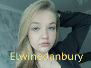 Elwinedanbury