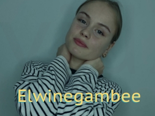 Elwinegambee