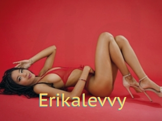 Erikalevvy