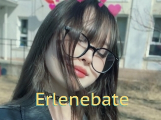 Erlenebate