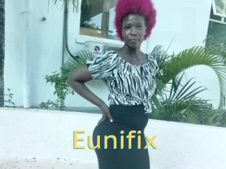 Eunifix