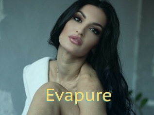 Evapure