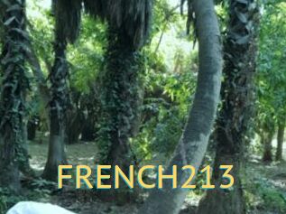 FRENCH213