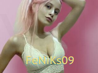 FeNiKs09