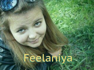 Feelaniya