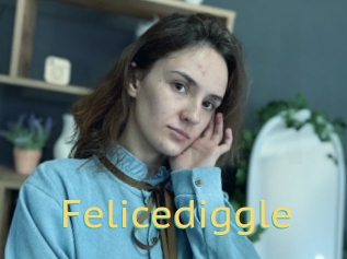 Felicediggle