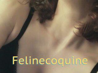 Felinecoquine