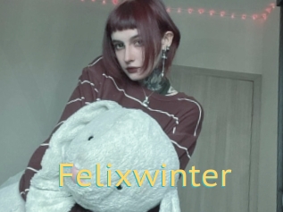 Felixwinter