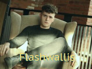 Flashwallis