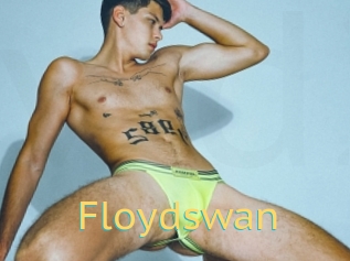 Floydswan