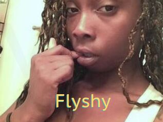 Flyshy