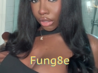Fung8e