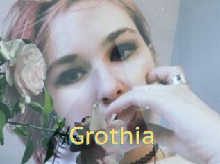 Grothia
