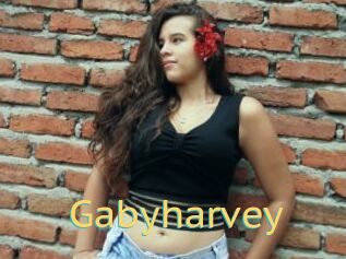 Gabyharvey