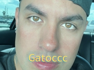Gatoccc