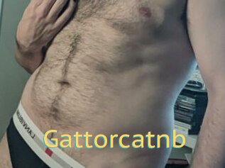 Gattorcatnb