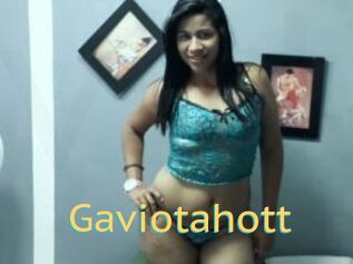 Gaviotahott