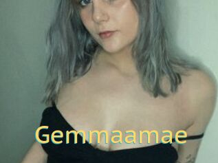 Gemmaamae