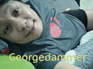 Georgedammer