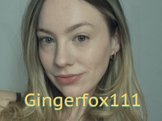 Gingerfox111
