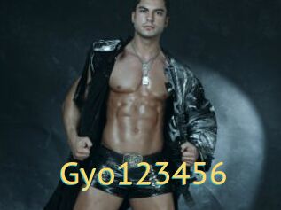 Gyo123456