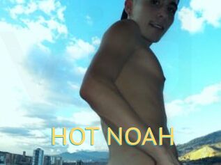 HOT_NOAH
