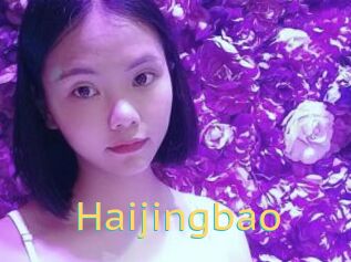 Haijingbao
