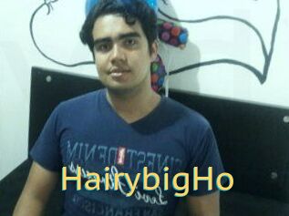 HairybigHo