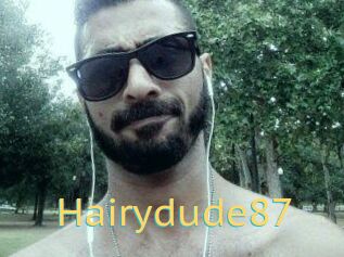 Hairydude87
