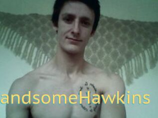HandsomeHawkins