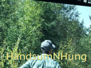 HandsumNHung