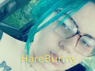 HareBunny