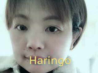 Haringo