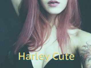 Harley_Cute