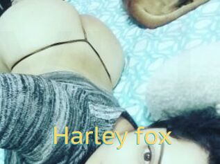 Harley_fox