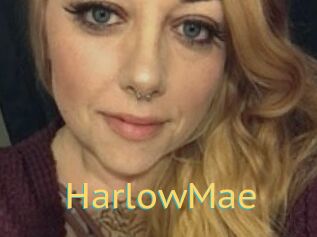 Harlow_Mae