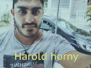 Harold_horny
