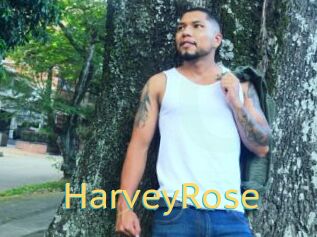 HarveyRose