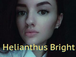 Helianthus_Bright