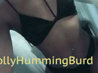 Holly_HummingBurd