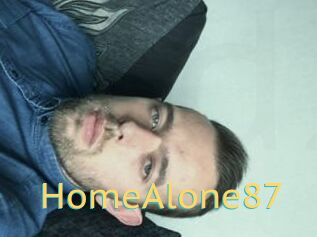 HomeAlone87