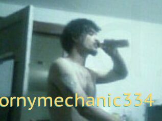 Hornymechanic334