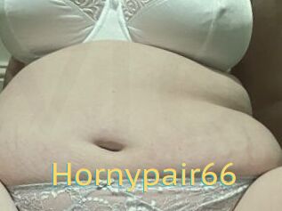 Hornypair66