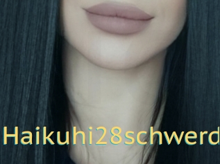 Haikuhi28schwerd