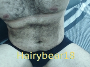 Hairybear18