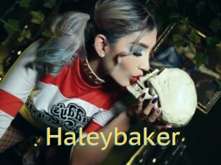 Haleybaker