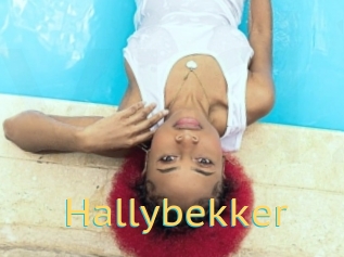 Hallybekker