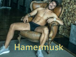 Hamermusk