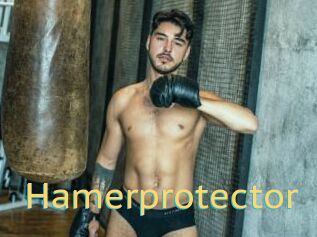 Hamerprotector