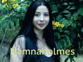Hamnaholmes